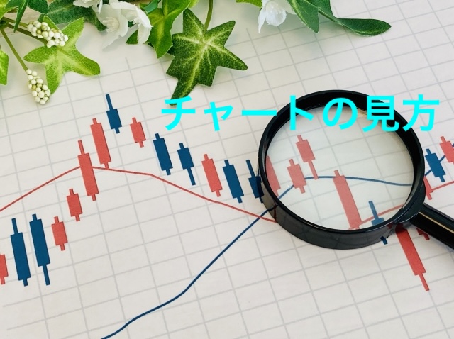 株価チャートの見方を初心者向けに解説！まず覚えるべき5つの基本