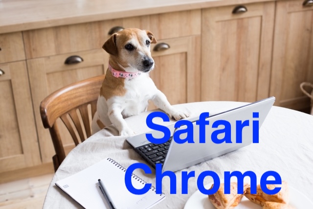 SafariとChromeは何が違う？Mac初心者向け完全ガイド